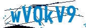 recaptcha
