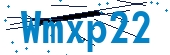 recaptcha