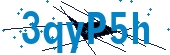 recaptcha