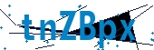 recaptcha