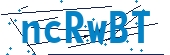recaptcha